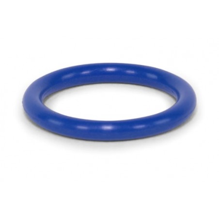 045/300120  O-Ring blau zu Schnallanschluss Wizard